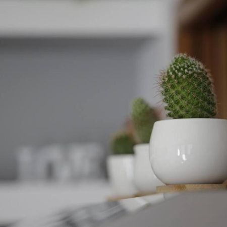 Iseo Lake Family&Friends Smart Home Extérieur photo